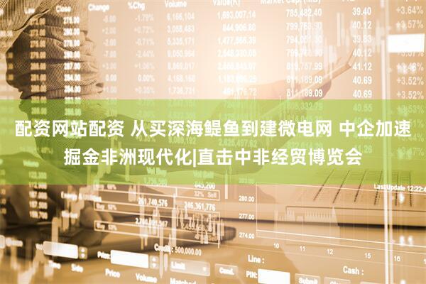 配资网站配资 从买深海鳀鱼到建微电网 中企加速掘金非洲现代化|直击中非经贸博览会