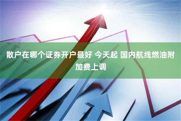 散户在哪个证券开户最好 今天起 国内航线燃油附加费上调