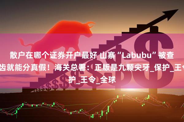 散户在哪个证券开户最好 山寨“Labubu”被查，认牙齿就能分真假！海关总署：正版是九颗尖牙_保护_王令_全球